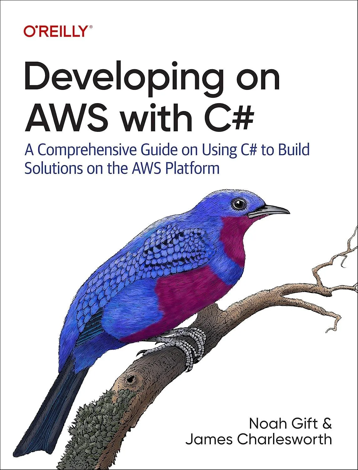 Developing on AWS with C#